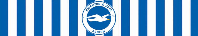 Brighton and Hove Albion