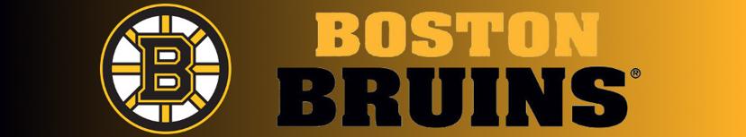 Boston Bruins