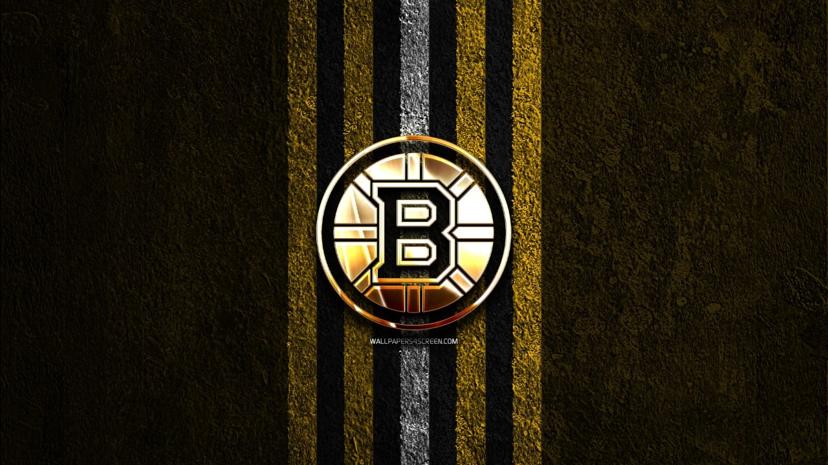 Boston Bruins