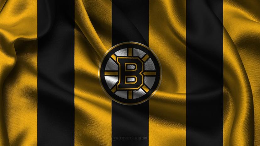 Boston Bruins