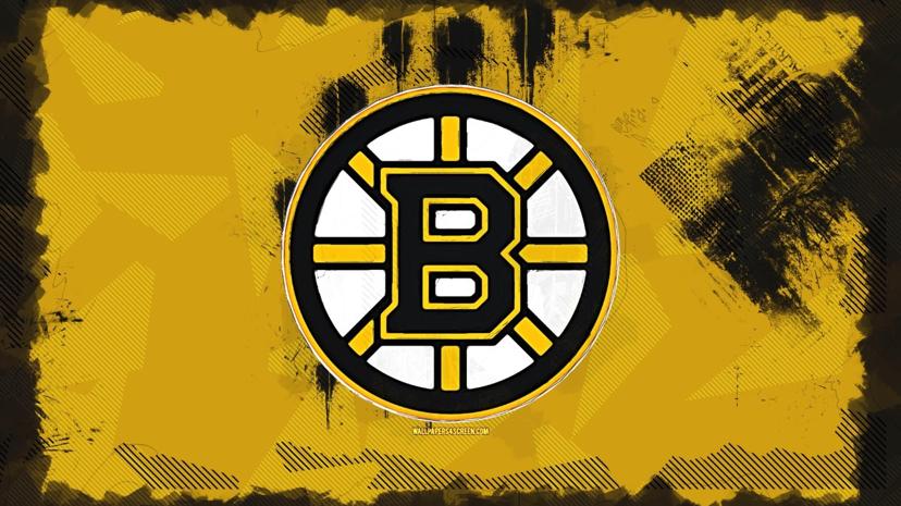 Boston Bruins