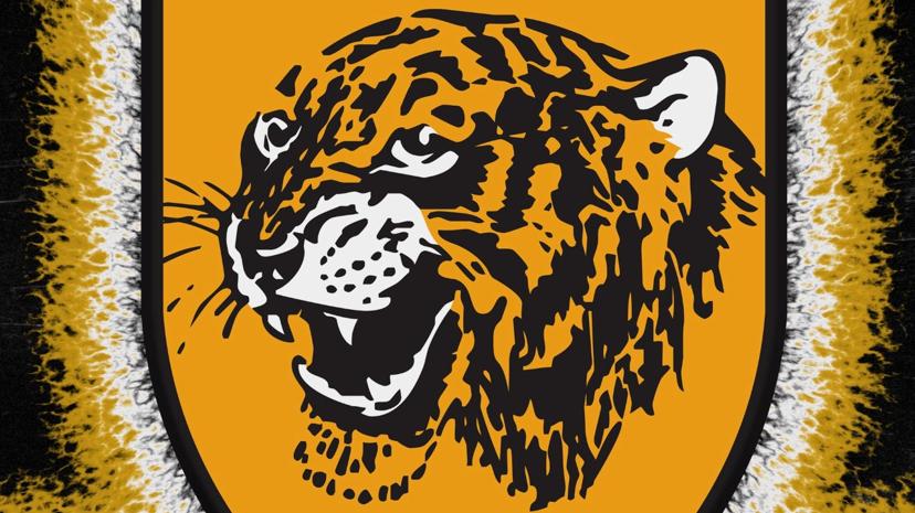 Hull City