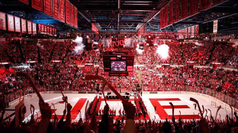 Detroit Red Wings