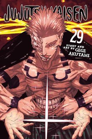 JUJUTSU KAISEN, VOL. 29
