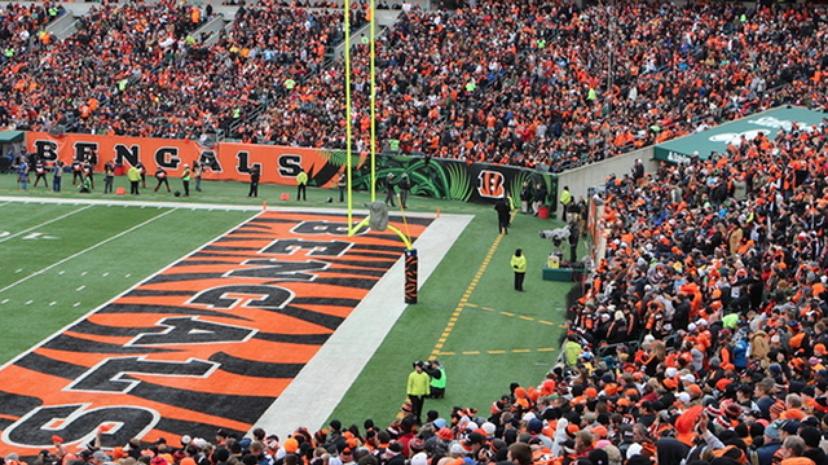 Cincinnati Bengals