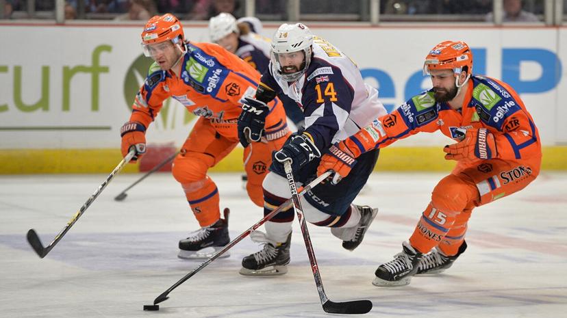 Sheffield Steelers